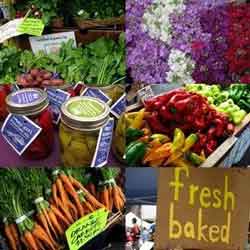 Appin Market and Car Boot Sale