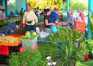 Rapid Creek Sunday Market