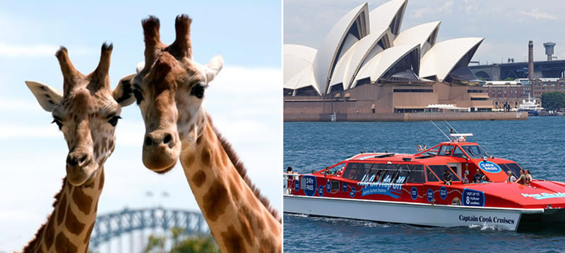 Taronga Zoo | Entry and 2 Day Harbour Ferry Pass