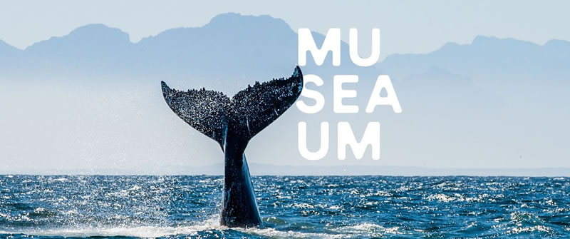 Australian National Maritime Museum | Open & Tickets