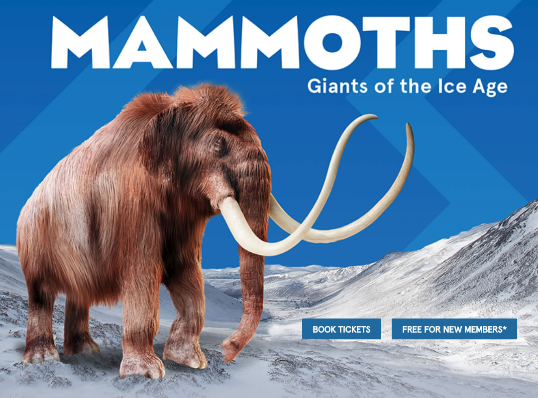 Mammoths - Giants of the Ice Age