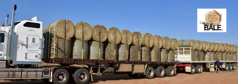 Hay Mate: Buy a Bale - A Concert For The Farmers